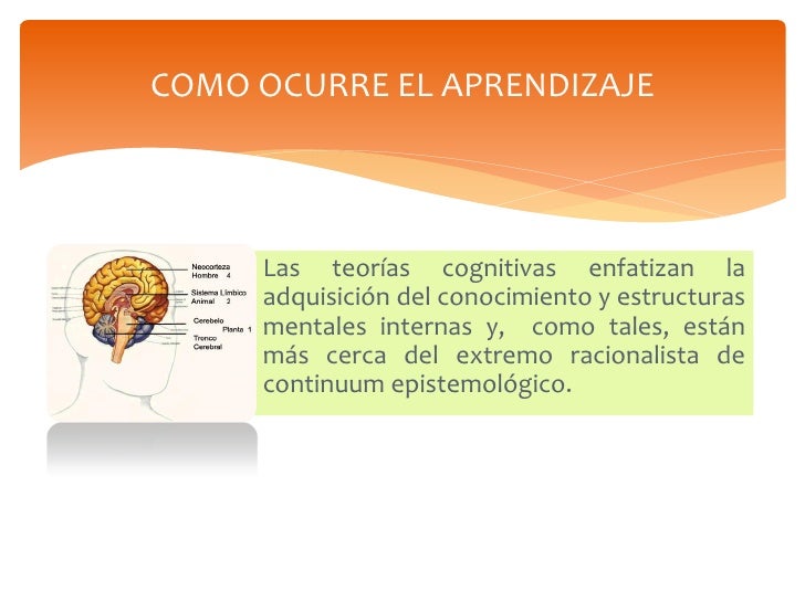 Teorias de aprendizaje y su incidencia en el Diseño