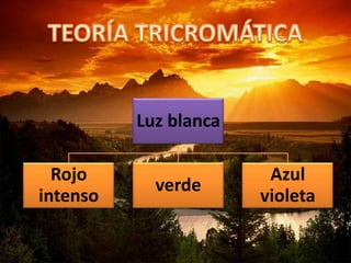 Luz blanca
Rojo
intenso
verde
Azul
violeta
 