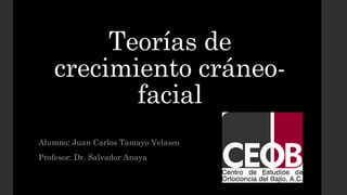 Teorías de
crecimiento cráneo-
facial
Alumno: Juan Carlos Tamayo Velasco
Profesor: Dr. Salvador Anaya
 