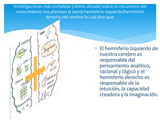 Investigaciones más complejas (última década) sobre el mecanismo del
conocimiento nos plantean la teoría hemisferio izquierdo/hemisferio
derecho del cerebro la cual dice que:
 El hemisferio izquierdo de
nuestro cerebro es
responsable del
pensamiento analítico,
racional y lógico y el
hemisferio derecho es
responsable de la
intuición, la capacidad
creadora y la imaginación.
 