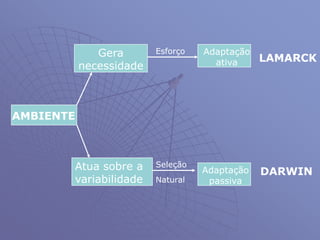 AMBIENTE
Gera
necessidade
Esforço Adaptação
ativa LAMARCK
Atua sobre a
variabilidade
Adaptação
passiva
DARWIN
Seleção
Natural
 