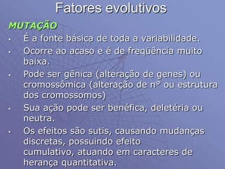 MUTAÇÃO
 É a fonte básica de toda a variabilidade.
 Ocorre ao acaso e é de freqüência muito
baixa.
 Pode ser gênica (alteração de genes) ou
cromossômica (alteração de n° ou estrutura
dos cromossomos)
 Sua ação pode ser benéfica, deletéria ou
neutra.
 Os efeitos são sutis, causando mudanças
discretas, possuindo efeito
cumulativo, atuando em caracteres de
herança quantitativa.
Fatores evolutivos
 