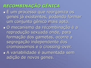 RECOMBINAÇÃO GÊNICA
 É um processo que reorganiza os
genes já existentes, podendo formar
um conjunto gênico mais apto.
 O mecanismo da recombinação é a
reprodução sexuada onde, para
formação dos gametas, ocorre a
segregação independente dos
cromossomos e o crossing-over.
 A variabilidade é aumentada sem
adição de novos genes.
 