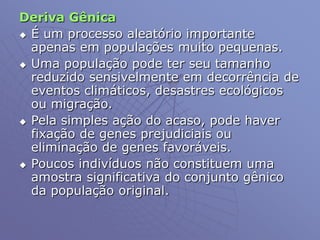 Deriva Gênica
 É um processo aleatório importante
apenas em populações muito pequenas.
 Uma população pode ter seu tamanho
reduzido sensivelmente em decorrência de
eventos climáticos, desastres ecológicos
ou migração.
 Pela simples ação do acaso, pode haver
fixação de genes prejudiciais ou
eliminação de genes favoráveis.
 Poucos indivíduos não constituem uma
amostra significativa do conjunto gênico
da população original.
 