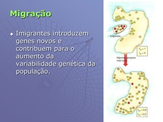 Migração
 Imigrantes introduzem
genes novos e
contribuem para o
aumento da
variabilidade genética da
população.
 