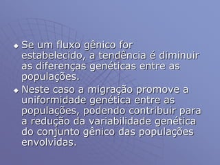  Se um fluxo gênico for
estabelecido, a tendência é diminuir
as diferenças genéticas entre as
populações.
 Neste caso a migração promove a
uniformidade genética entre as
populações, podendo contribuir para
a redução da variabilidade genética
do conjunto gênico das populações
envolvidas.
 