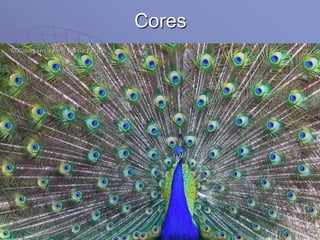 Cores
 
