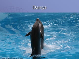 Dança
 