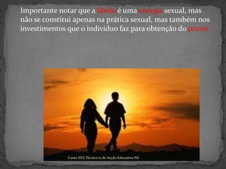 	Importante notar que a libido é uma energia sexual, mas não se constitui apenas na prática sexual, mas também nos investimentos que o indivíduo faz para obtenção do prazer.Curso EFA Técnico/a de Acção Educativa NS 