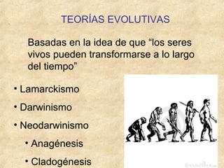 TEORÍAS EVOLUTIVAS

  Basadas en la idea de que “los seres
  vivos pueden transformarse a lo largo
  del tiempo”

• Lamarckismo
• Darwinismo
• Neodarwinismo
  • Anagénesis
  • Cladogénesis
 
