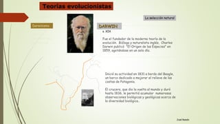 s. XIX
Fue el fundador de la moderna teoría de la
evolución. Biólogo y naturalista inglés, Charles
Darwin publicó "El Origen de las Especies" en
1859, agotándose en un solo día.
José Ramón
DARWIN
Inició su actividad en 1831 a bordo del Beagle,
un barco dedicado a mejorar el relieve de las
costas de Patagonia.
El crucero, que dio la vuelta al mundo y duró
hasta 1836, le permitió acumular numerosas
observaciones biológicas y geológicas acerca de
la diversidad biológica..
La selección naturalAntecedente
Lamarckismo
Evolucionismo
Darwinismo
Genética
Neodarwinismo
Alternativas
Darwinismo
Teorías evolucionistas
 