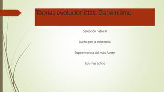Teorías evolucionistas: Darwinismo
Selección natural
Lucha por la existencia
Supervivencia del más fuerte
Los más aptos
 