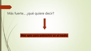 Más fuerte... ¿qué quiere decir?
Más apto para sobrevivir en el medio
 