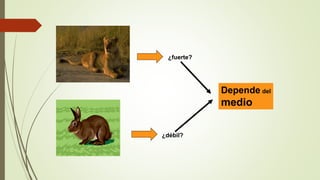 ¿fuerte?
¿débil?
Depende del
medio
 