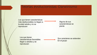 Teorías evolucionistas: Darwinismo
Los que tienen características
más desfavorables no llegan a
la edad adulta y no se
reproducen
Los que tienen
características favorables
llegan a adultos y se
reproducen
Alguna de sus
características se
pierde
Sus caracteres se extienden
En el grupo
 