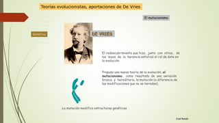 Antecedente
Lamarckismo
Evolucionismo
Darwinismo
Genética
Neodarwinismo
Alternativas
Genética
José Ramón
El redescubrimiento que hizo, junto con otros, de
las leyes de la herencia enfatizó el rol de ésta en
la evolución.
Propuso una nueva teoría de la evolución, el
mutacionismo, como resultado de una variación
brusca y hereditaria, la mutación (a diferencia de
las modificaciones que no se heredan).
DE VRIES
El mutacionismo
La mutación modifica estructuras genéticas
Teorías evolucionistas, aportaciones de De Vries
 