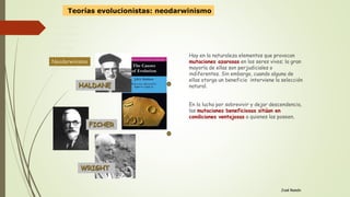 José Ramón
Hay en la naturaleza elementos que provocan
mutaciones azarosas en los seres vivos; la gran
mayoría de ellas son perjudiciales o
indiferentes. Sin embargo, cuando alguna de
ellas otorga un beneficio interviene la selección
natural.
En la lucha por sobrevivir y dejar descendencia,
las mutaciones beneficiosas sitúan en
condiciones ventajosas a quienes las poseen.
HALDANE
FICHER
WRIGHT
Antecedente
Lamarckismo
Evolucionismo
Darwinismo
Genética
Neodarwinismo
Alternativas
Neodarwinismo
Teorías evolucionistas: neodarwinismo
 