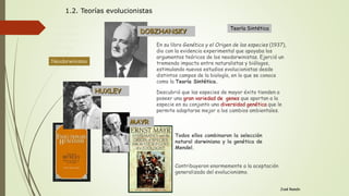 José Ramón
Descubrió que las especies de mayor éxito tienden a
poseer una gran variedad de genes que aportan a la
especie en su conjunto una diversidad genética que le
permite adaptarse mejor a los cambios ambientales.
En su libro Genética y el Origen de las especies (1937),
dio con la evidencia experimental que apoyaba los
argumentos teóricos de los neodarwinistas. Ejerció un
tremendo impacto entre naturalistas y biólogos,
estimulando nuevos estudios evolucionistas desde
distintos campos de la biología, en lo que se conoce
como la Teoría Sintética.
Teoría Sintética
DOBZHANSKY
HUXLEY
MAYR
Todos ellos combinaron la selección
natural darwiniana y la genética de
Mendel.
Contribuyeron enormemente a la aceptación
generalizada del evolucionismo.
Antecedente
Lamarckismo
Evolucionismo
Darwinismo
Genética
Neodarwinismo
Alternativas
Neodarwinismo
1.2. Teorías evolucionistas
 