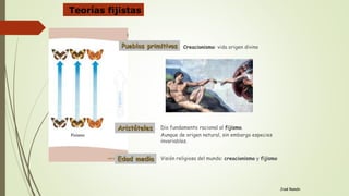 Teorías fijistas
Creacionismo: vida origen divino
José Ramón
Aristóteles
Pueblos primitivos
Dio fundamento racional al fijismo.
Aunque de origen natural, sin embargo especies
invariables.
Edad media Visión religiosa del mundo: creacionismo y fijismo
 