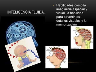 INTELIGENCIA FLUIDA.
• Habilidades como la
imaginería espacial y
visual, la habilidad
para advertir los
detalles visuales y la
memorización
 