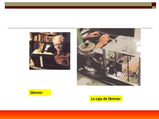 Skinner
          La caja de Skinner
 