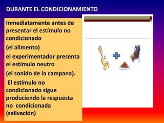 DURANTE EL CONDICIONAMIENTO

Inmediatamente antes de
presentar el estímulo no
condicionado
(el alimento)
el experimentador presenta
el estímulo neutro
(el sonido de la campana).
 El estímulo no
condicionado sigue
produciendo la respuesta
no condicionada
(salivación)
 