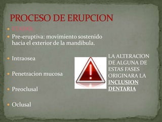  ETAPAS:
 Pre-eruptiva: movimiento sostenido

hacia el exterior de la mandibula.
 Intraosea
 Penetracion mucosa
 Preoclusal
 Oclusal

LA ALTERACION
DE ALGUNA DE
ESTAS FASES
ORIGINARA LA
INCLUSION
DENTARIA

 