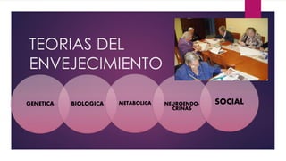 TEORIAS DEL 
ENVEJECIMIENTO 
GENETICA BIOLOGICA METABOLICA NEUROENDO-CRINAS 
SOCIAL 
 