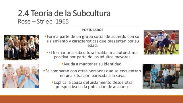 Teoria de la subcultura_teoria_online