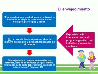El envejecimiento
“Proceso dinámico, gradual, natural, universal e
inevitable en el que se dan cambios a nivel
biológico, psicológico y social.
No ocurre de forma repentina sino de
manera progresiva y gradual, transcurre en
el tiempo.
El envejecimiento acontecen en todas las
personas, pero no se envejece de igual manera,
ni tampoco cada parte del organismo envejece al
mismo tiempo” (Viguera, 2001)
Expresión de la
interacción entre el
programa genético del
individuo y su medio
ambiente.
 