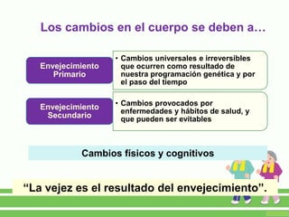 • Cambios universales e irreversibles
que ocurren como resultado de
nuestra programación genética y por
el paso del tiempo
Envejecimiento
Primario
• Cambios provocados por
enfermedades y hábitos de salud, y
que pueden ser evitables
Envejecimiento
Secundario
Los cambios en el cuerpo se deben a…
Cambios físicos y cognitivos
“La vejez es el resultado del envejecimiento”.
 