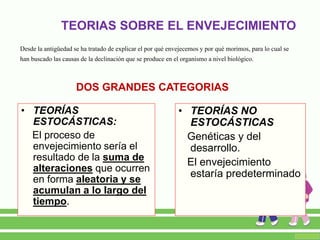 TEORIAS SOBRE EL ENVEJECIMIENTO
• TEORÍAS
ESTOCÁSTICAS:
El proceso de
envejecimiento sería el
resultado de la suma de
alteraciones que ocurren
en forma aleatoria y se
acumulan a lo largo del
tiempo.
• TEORÍAS NO
ESTOCÁSTICAS
Genéticas y del
desarrollo.
El envejecimiento
estaría predeterminado
DOS GRANDES CATEGORIAS
Desde la antigüedad se ha tratado de explicar el por qué envejecemos y por qué morimos, para lo cual se
han buscado las causas de la declinación que se produce en el organismo a nivel biológico.
 