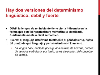 Hay dos versiones del determinismo
lingüístico: débil y fuerte
• Débil: la lengua de un hablante tiene cierta influencia en la
forma que éste conceptualiza y memoriza la «realidad»,
fundamentalmente a nivel semántico.
• Fuerte: el lenguaje determina totalmente el pensamiento, hasta
tal punto de que lenguaje y pensamiento son lo mismo.
• La lengua hopi, hablada por algunos nativos de Arizona, carece
de tiempos verbales y, por tanto, estos carecerían del concepto
de tiempo.
 