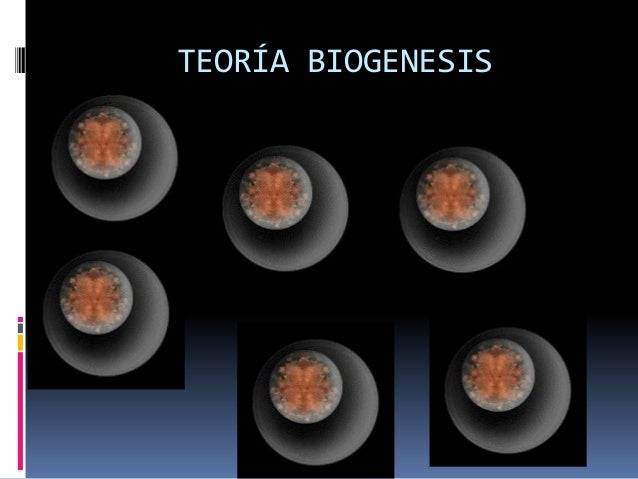 Teorias del origen de la vida