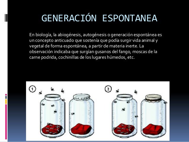 Teorias del origen de la vida