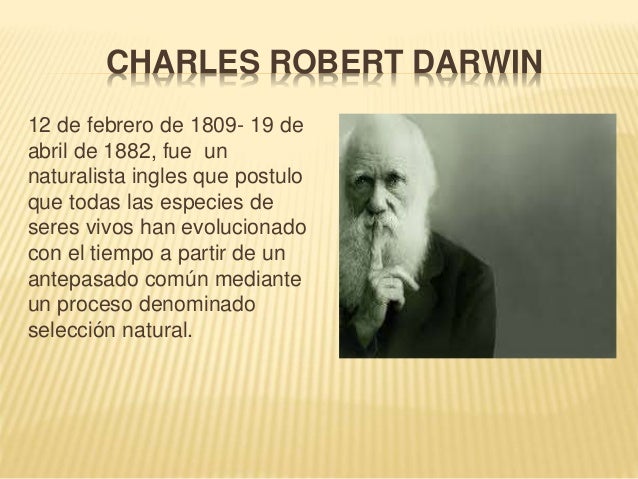 Teorías del origen del hombre"Creacionismo, Teoria de