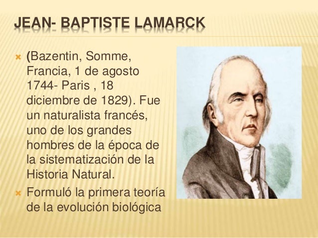 Teorías del origen del hombre"Creacionismo, Teoría de lamarck y Teorí…