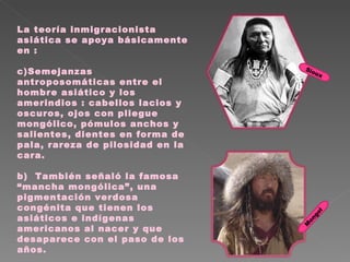 La teoría inmigracionista asiática se apoya básicamente en : Semejanzas antroposomáticas entre el hombre asiático y los amerindios : cabellos lacios y oscuros, ojos con pliegue mongólico, pómulos anchos y salientes, dientes en forma de pala, rareza de pilosidad en la cara. b)  También señaló la famosa “mancha mongólica”, una pigmentación verdosa congénita que tienen los asiáticos e indígenas americanos al nacer y que desaparece con el paso de los años. Sioux Mongol 