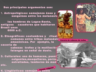Sus principales argumentos son: 1.  Antropológicos: semejanza ósea y  sanguínea entre los melanesios y  los hombres de Lagoa-Santa, antiguos  cazadores que habitaron Brasil unos  6000 a.C. 2. Etnográficos: costumbres y  rituales comunes entre tribus melanésicas amazónicas. Por  ejemplo, la cacería de cabezas  trofeo y la mutilación de  falanges en señal de duelo. 3. Culturales: uso de hamacas, puentes colgantes,mosquiteros, porras  estrelladas, tambores de madera, etc. 4. Lingüísticos: semejanza entre vocablos melanésicos con la de los indios Hoka  de Norteamérica. Cacería de cabezas de trofeo Puente colgante 
