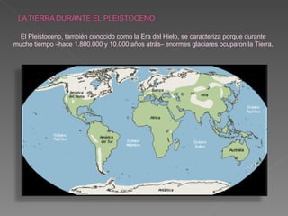 El Pleistoceno, también conocido como la Era del Hielo, se caracteriza porque durante mucho tiempo –hace 1.800.000 y 10.000 años atrás– enormes glaciares ocuparon la Tierra . 