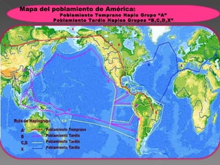 Mapa del poblamiento de América: Poblamiento Temprano Haplo Grupo “A” Poblamiento Tardío Haplos Grupos “B,C,D,X” 