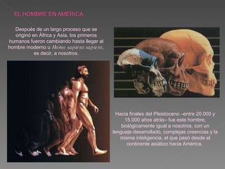 Hacia finales del Pleistoceno –entre 20.000 y 15.000 años atrás– fue este hombre, biológicamente igual a nosotros, con un lenguaje desarrollado, complejas creencias y la misma inteligencia, el que pasó desde el continente asiático hacia América.  Después de un largo proceso que se originó en África y Asia, los primeros humanos fueron cambiando hasta llegar al hombre moderno u   Homo sapiens sapiens,  es decir, a nosotros. 