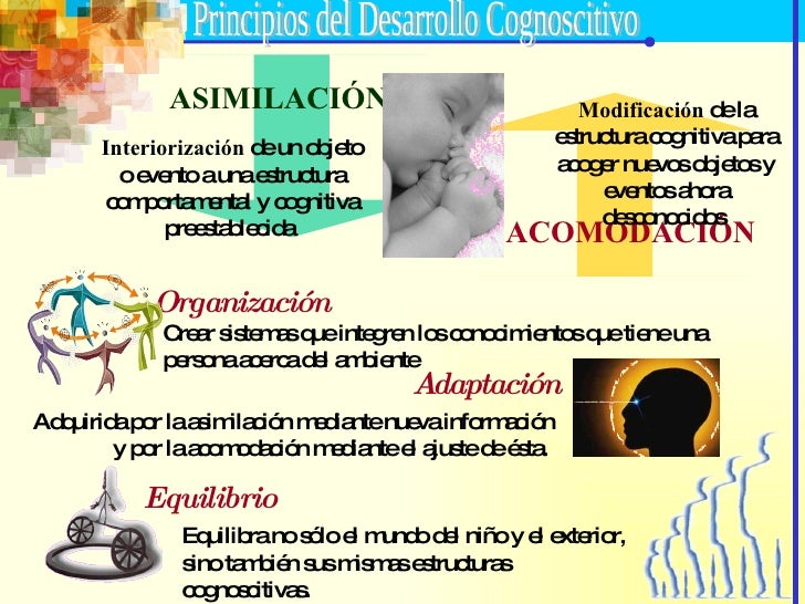 Teorias de piaget