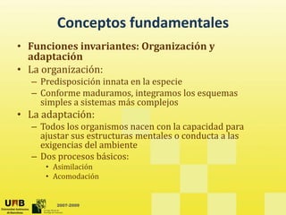 Conceptos fundamentales
• Funciones invariantes: Organización y 
  adaptación
      p
• La organización:
  – Predisposición innata en la especie
  – Conforme maduramos integramos los esquemas
              maduramos, integramos los esquemas
    simples a sistemas más complejos
• La adaptación:
  – Todos los organismos nacen con la capacidad para
    ajustar sus estructuras mentales o conducta a las
    exigencias del ambiente
  –DDos procesos básicos:
                  bá i
     • Asimilación
     • Acomodación


        2007-2009
 