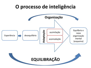 assimilação
O processo de inteligência
Experiência desequilíbrio
acomodação
Equilíbrio e
nova
organização
mental
(esquema)
EQUILIBRAÇÃO
Organização
Adaptação
 