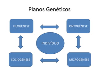 Planos Genéticos
FILOGÊNESE ONTOGÊNESE
SOCIOGÊNESE MICROGÊNESE
INDIVÍDUO
 