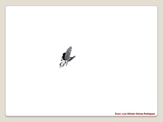 Econ: Luís Alfredo Gómez Rodríguez
 