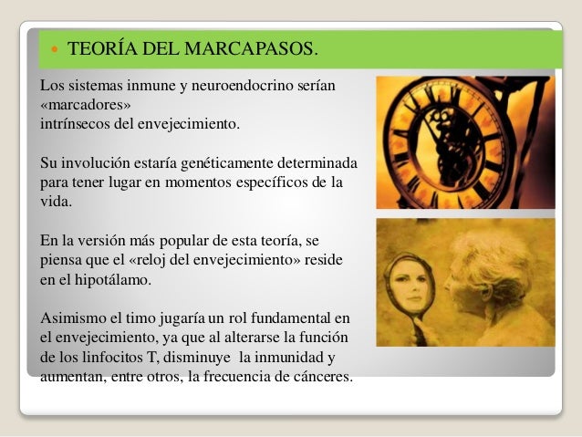 Teoria del marcapasos_teoria_online