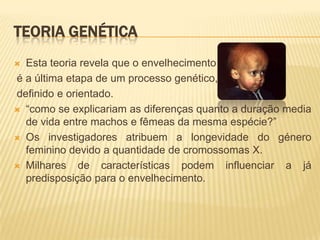 TEORIA GENÉTICA
 Esta teoria revela que o envelhecimento
é a última etapa de um processo genético,
definido e orientado.
 “como se explicariam as diferenças quanto a duração media
  de vida entre machos e fêmeas da mesma espécie?”
 Os investigadores atribuem a longevidade do género
  feminino devido a quantidade de cromossomas X.
 Milhares    de características podem influenciar a já
  predisposição para o envelhecimento.
 