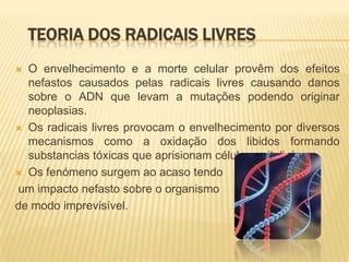 TEORIA DOS RADICAIS LIVRES
 O envelhecimento e a morte celular provêm dos efeitos
  nefastos causados pelas radicais livres causando danos
  sobre o ADN que levam a mutações podendo originar
  neoplasias.
 Os radicais livres provocam o envelhecimento por diversos
  mecanismos como a oxidação dos libidos formando
  substancias tóxicas que aprisionam células epiteliais.
 Os fenómeno surgem ao acaso tendo

um impacto nefasto sobre o organismo
de modo imprevisível.
 